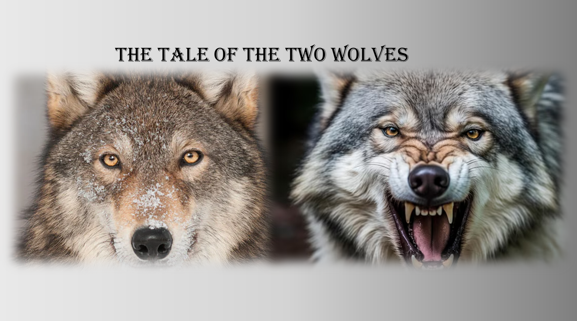 The Two Wolves – Working On Happiness